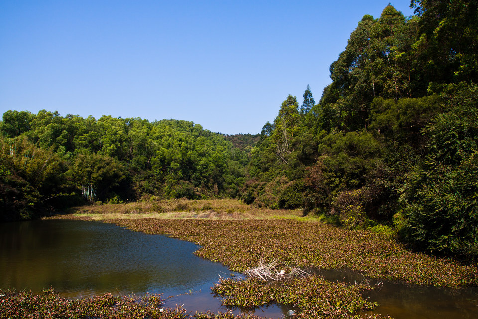 珠海 北师 泽地