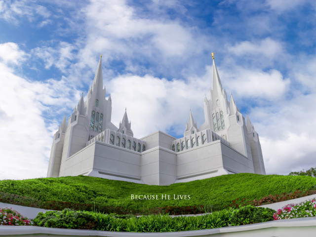 "教堂"标签的图博