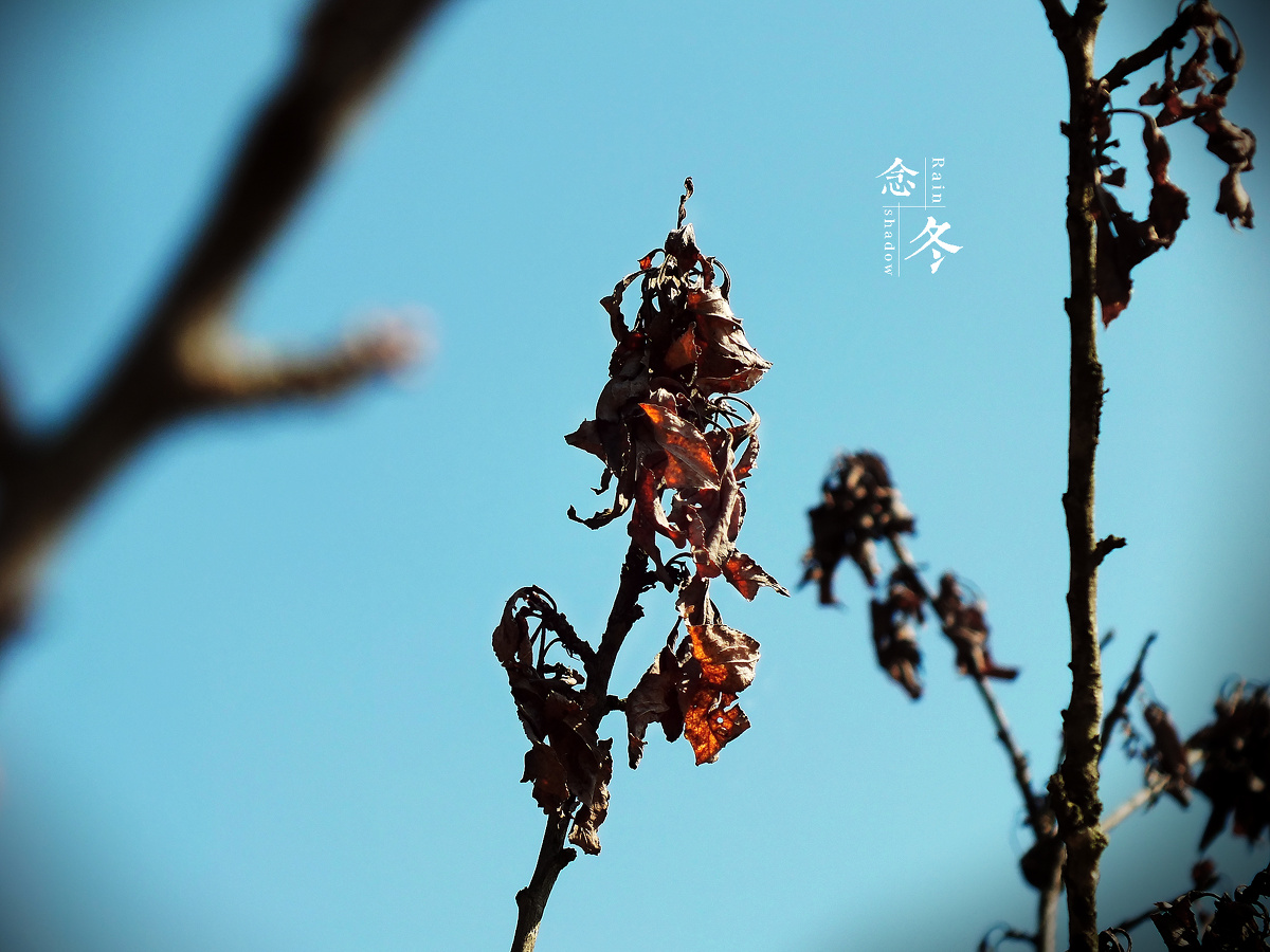 雨影发布于  14年5月15日 &nbsp;&nbsp;&nbsp