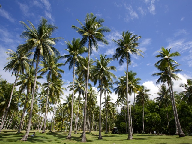 欧朋罗志宇 - 图虫摄影网
