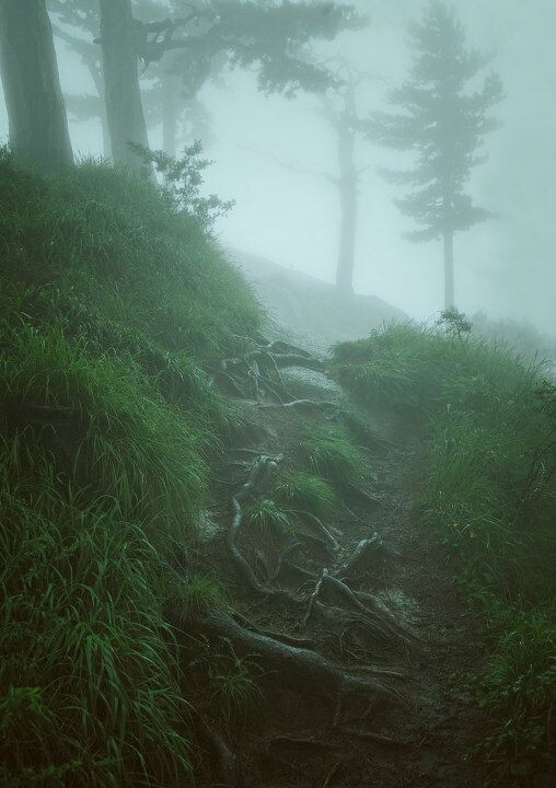 雨后山林图片