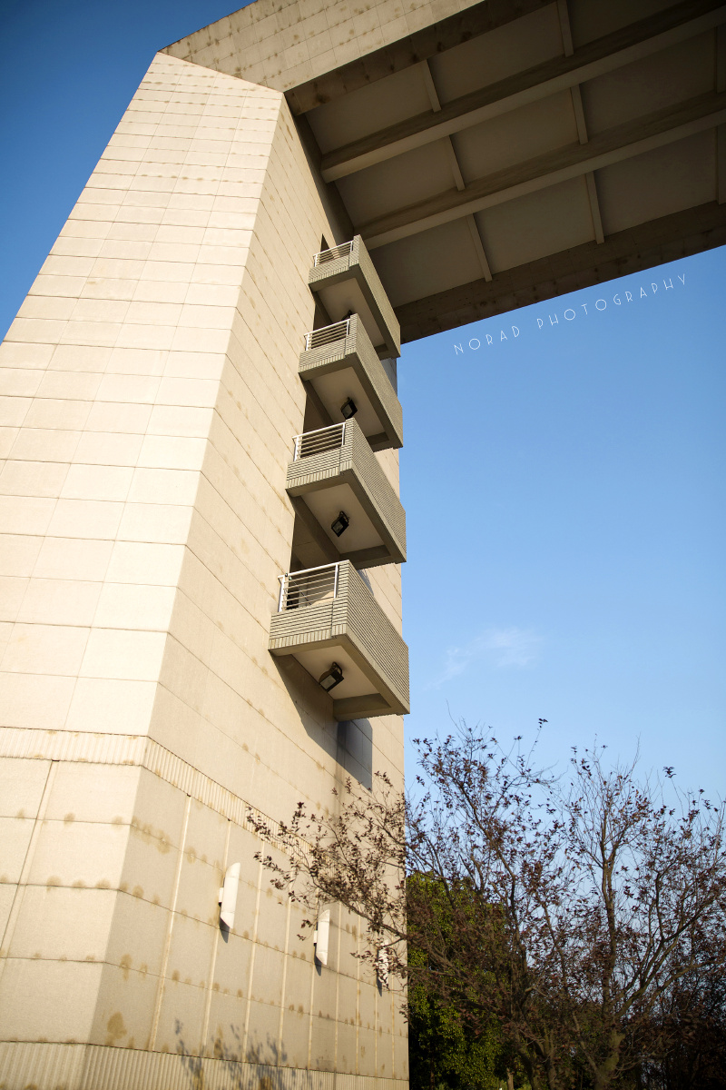 秋色【同济大学嘉定校区】