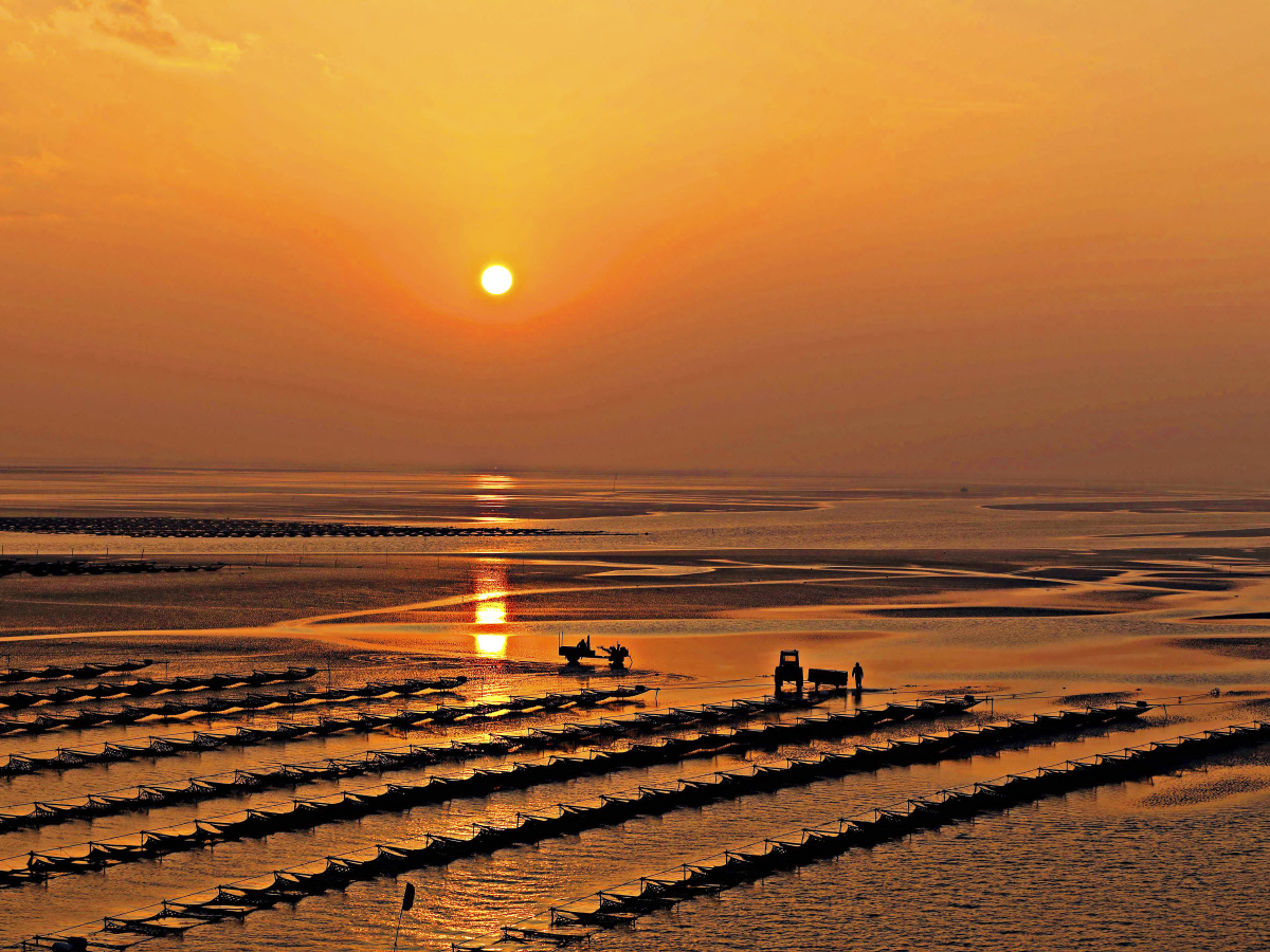 《南黄海滩涂》1韩秋云 - 如东摄友俱乐部 - 图虫摄影网