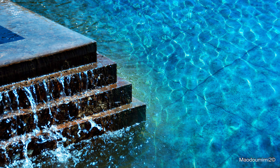 水台- 毛豆咪咪 - 生态摄影 - 图虫摄影网