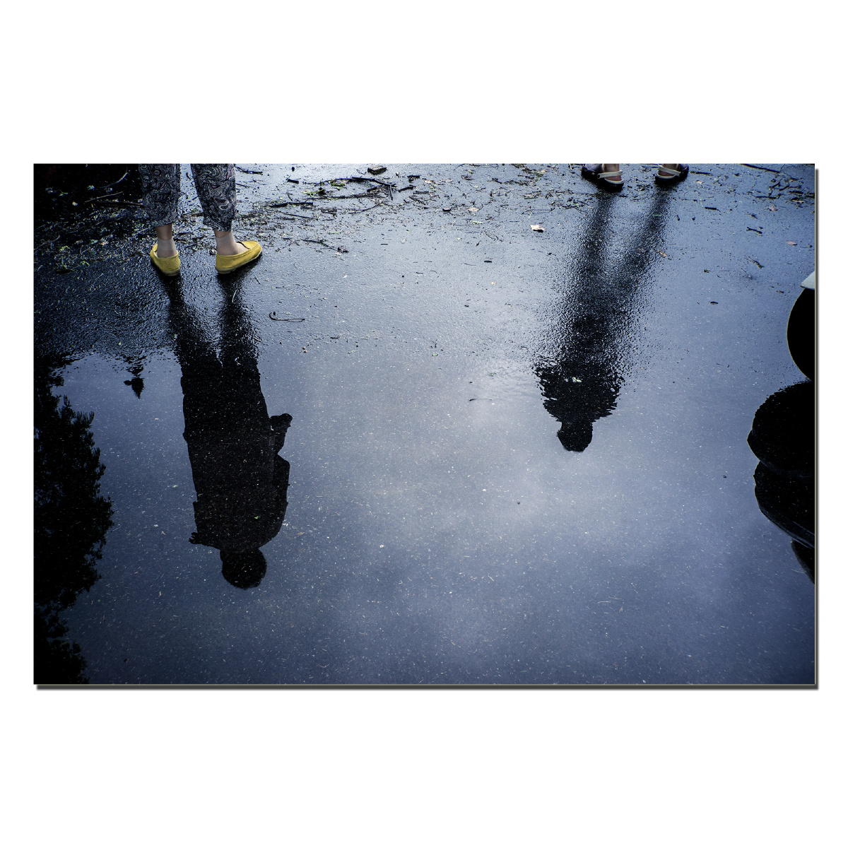 272 - 我爱四明治 - 图虫摄影网