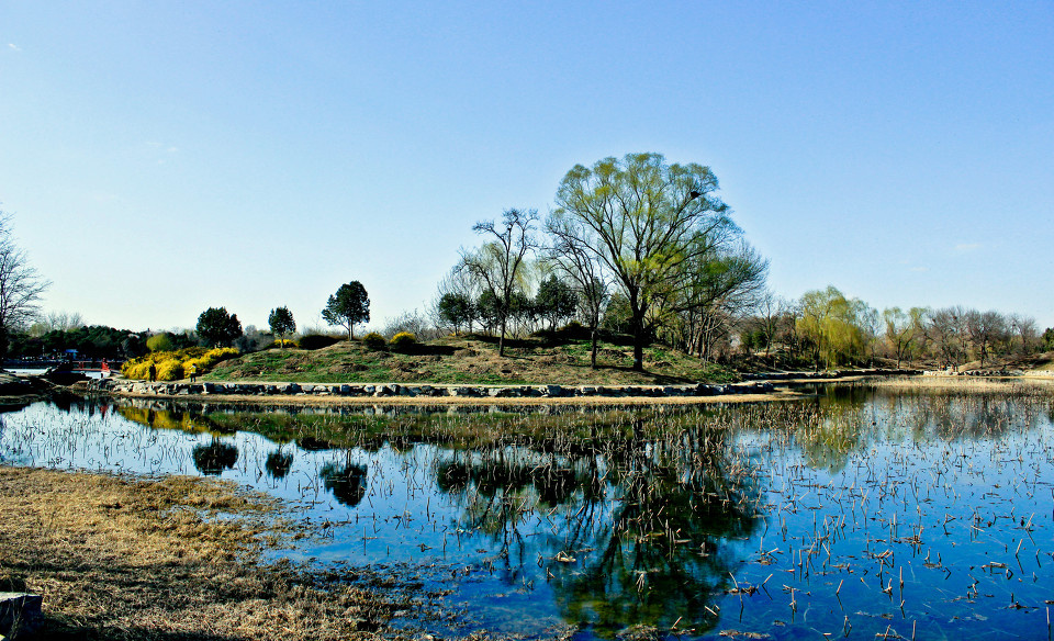 北平春色 - 北平春色 - vincentsrz - 图虫摄影网