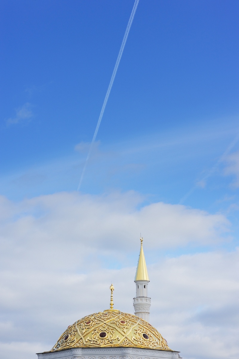 lxj_4084 - whelmingo - 图虫摄影网