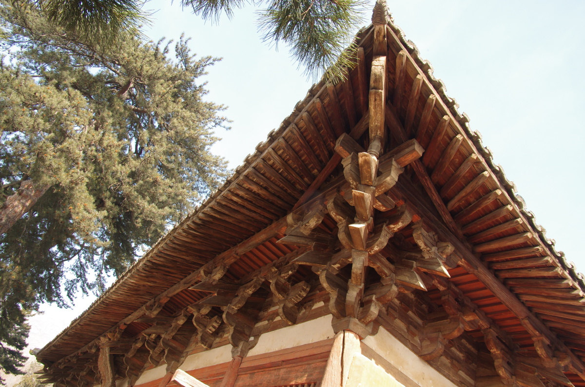 阿拉斯加后发表 - 阿拉斯加, 风光, 生态 - 阿拉斯加后发表 - 伍厘米