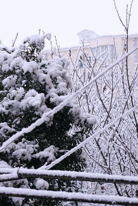 窗外雪景