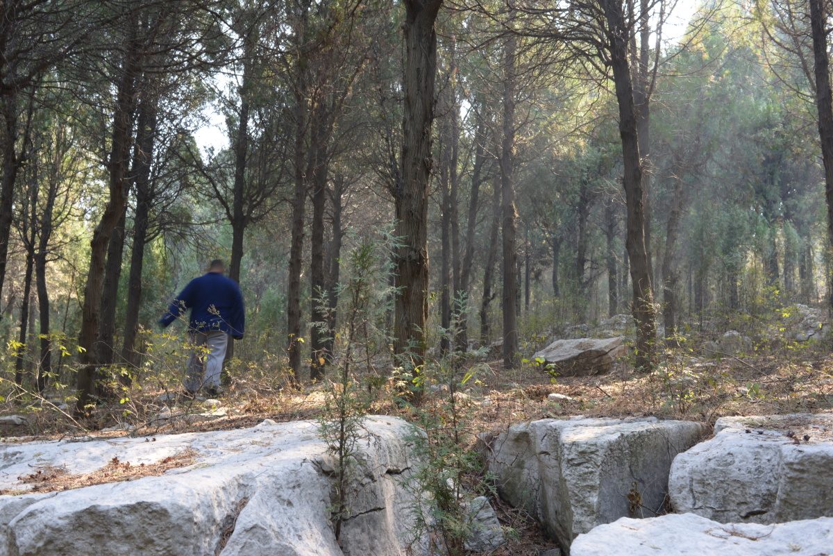 山林中一位修行的隐士.