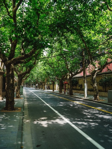 上海游-思南路11张