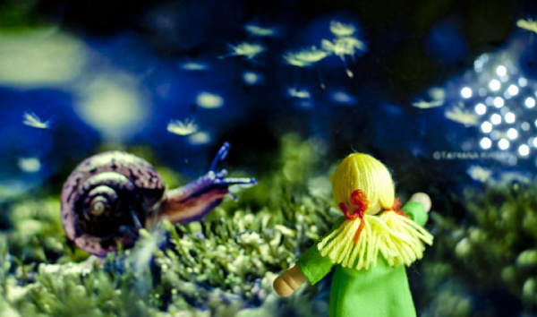 《咪咪的世界》