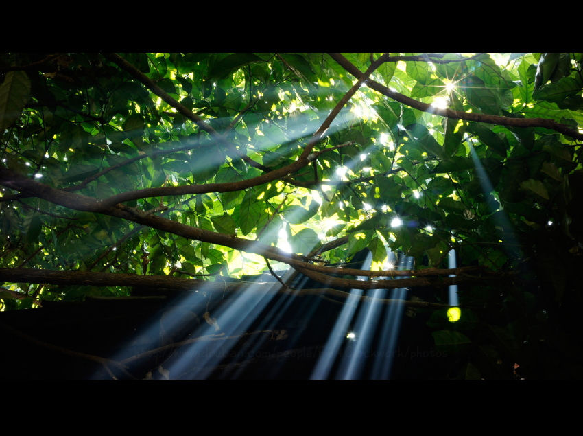 在白沙老宅的院子里睡了个午觉,醒来后我发现了这一缕缕美妙的光柱,便