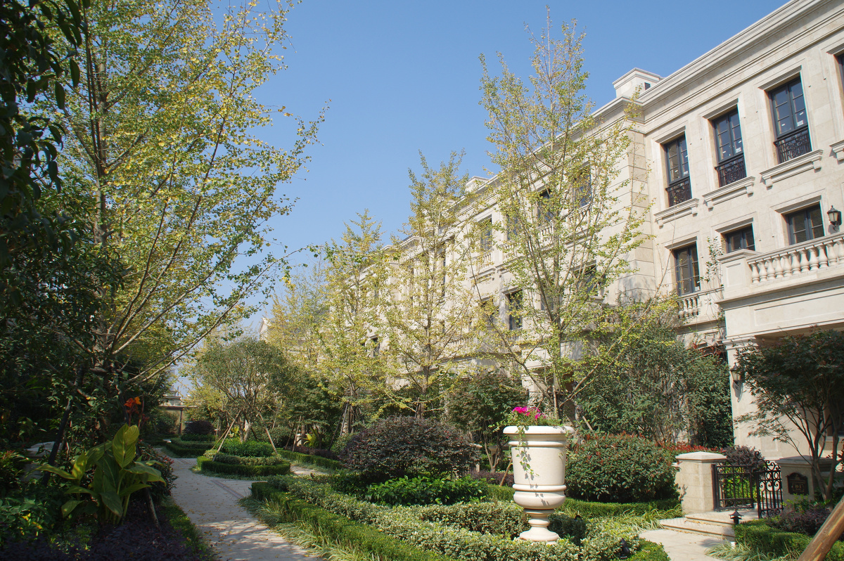 杭州 溪上玫瑰园