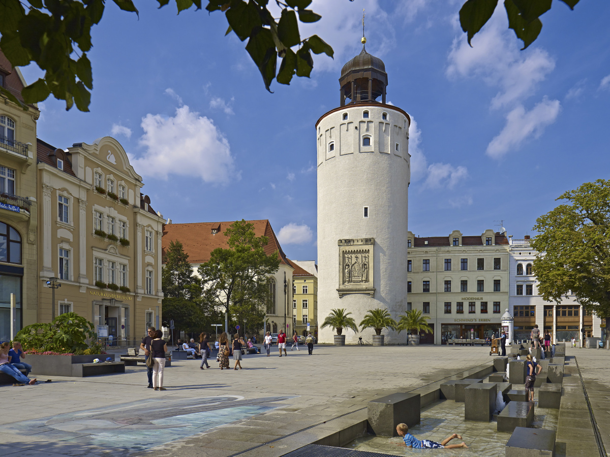 采泥螺--如东滩涂