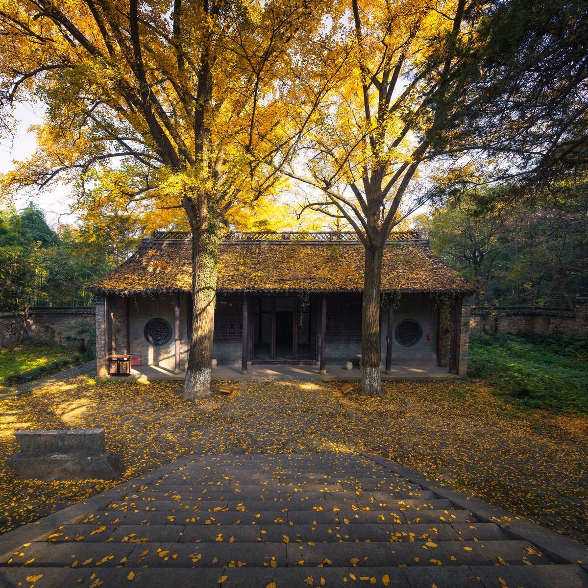 竹林禅寺