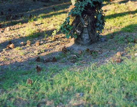 教堂的里里外外教堂前 科莫的duomo 音乐学院前的柱子 教堂的侧门之