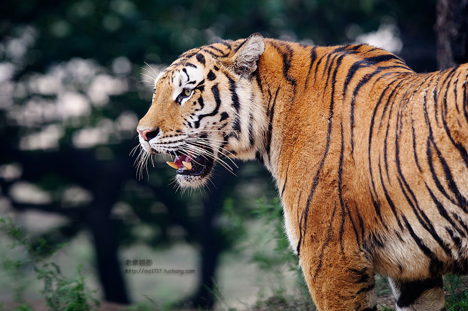 做最专业的摄影社区