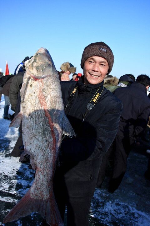 查干湖冬捕头鱼