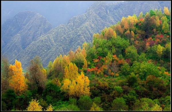 2012徐家峡秋色-10