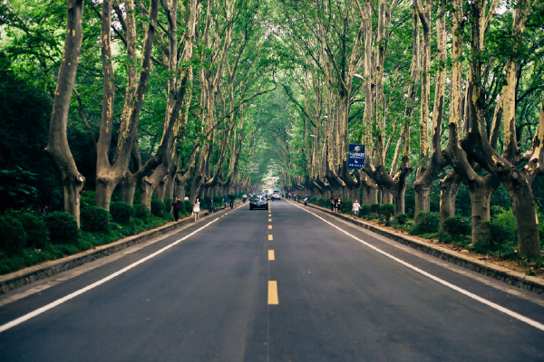 低调的二少 - 图虫摄影网