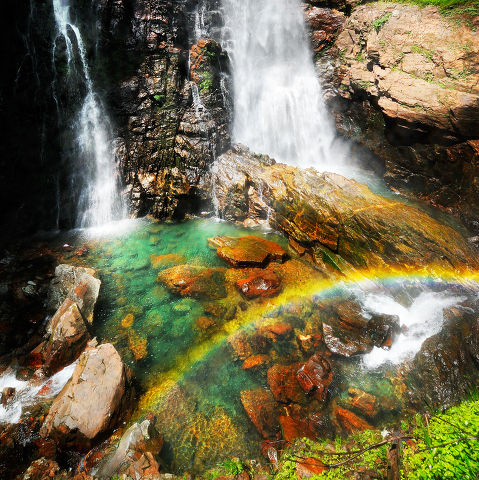 "井冈山"标签的图博