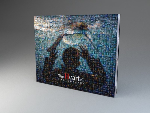 13更新 - ashtree - 图虫摄影网