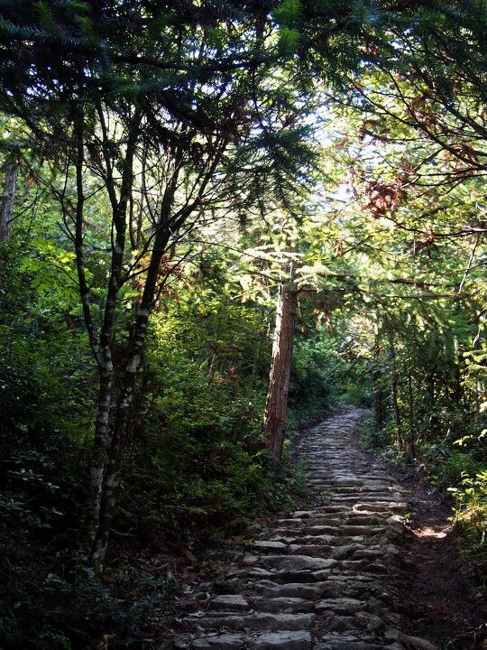 山间小路