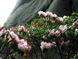 fujifilm finepix f47fd