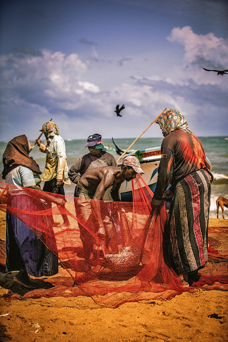 海边劳作的渔民