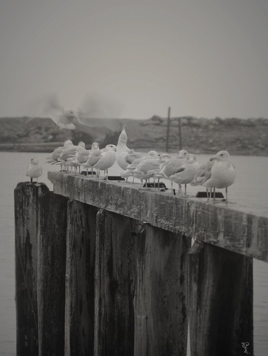 灰色是当时的回忆