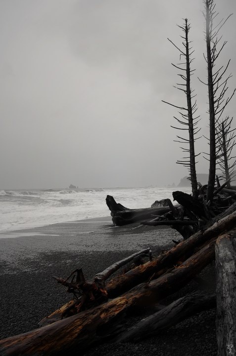 灰色是当时的回忆