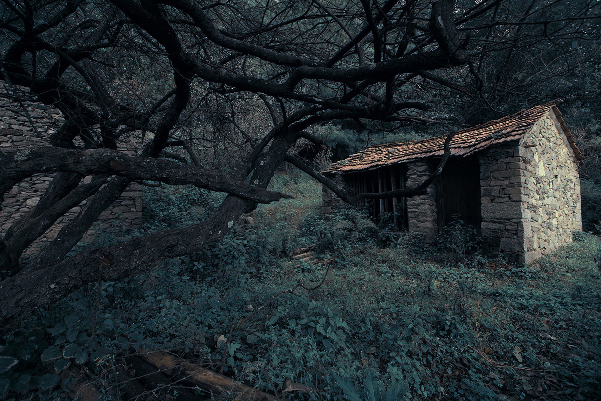 黑暗树林的小屋