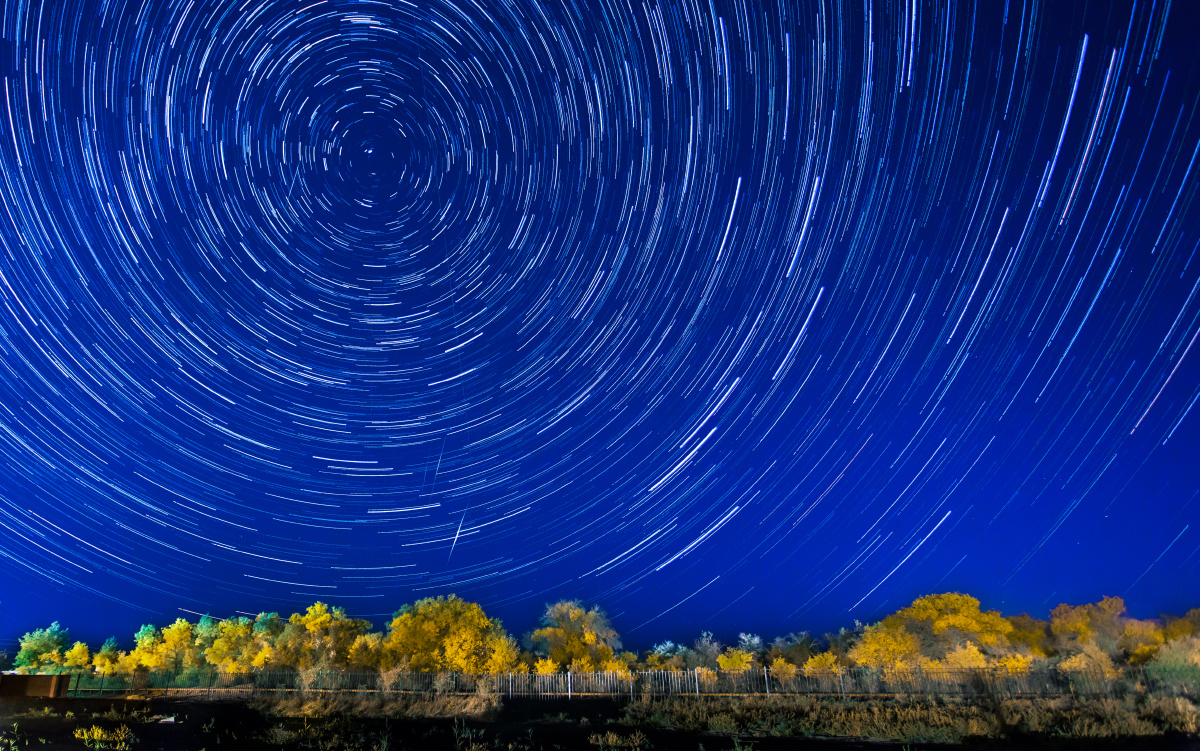 胡杨树上的星空