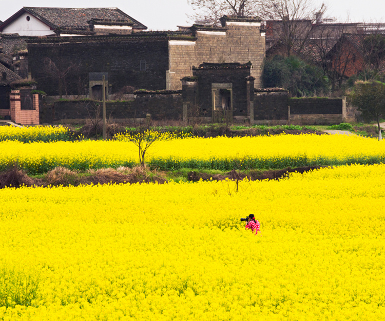 春机- 风光 - 玉亭印迹 - 图虫摄影网